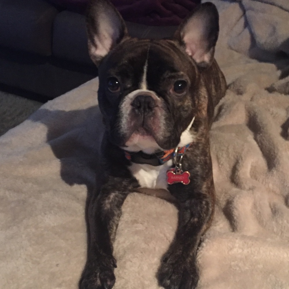 Meet your Posher, Elizabeth